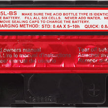 ACDelco ATX5LBS Specialty AGM Powersports JIS 5L-BS Battery