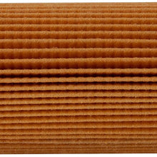 Premium Guard Cartridge