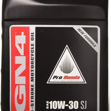 Honda Pro GN4 Motor Oil - 10W30-1 Gallon/-