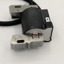 Replacement Ignition Coil Module Spark Plug for Briggs & Stratton Armature Magneto 591459 bs-492341 490586 495859 492341 289707 311707 490586 491312 690248 715231 Engine Lawm Mower parts