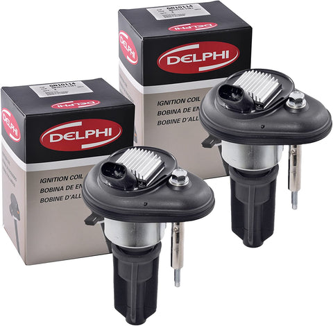 New Set of 2 Delphi GN10114 Igntion Coils