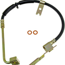 Dorman H381160 Hydraulic Brake Hose