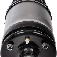 Dorman 949-889 Rear Suspension Air Strut Assembly
