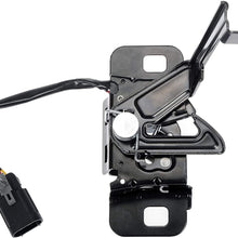 Dorman 820-208 Hood Latch Assembly for Select Chevrolet Models