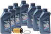 Genuine 10W-60 7 Liter Oil Change Kit For BMW E39 M5 S62 Engine 00-03