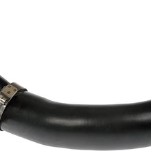 Dorman 904-097 Intercooler Outer Hose