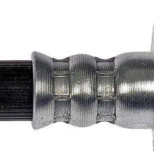 Dorman H621321 Hydraulic Brake Hose