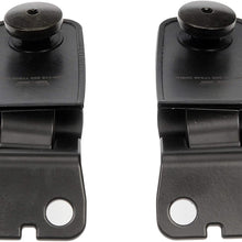 Dorman 926-118 Tailgate Glass Hinge for Select Models