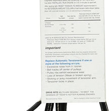 Dayco 5060955DR Serpentine Belt