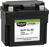 BikeMaster Lithium Ion Battery DLFP-7ZS