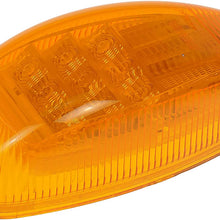 Dorman 888-5240 Turn Signal and Side Marker Light for Select International Models