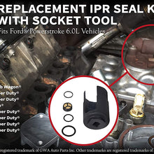 IPR Socket Tool Screen Kit - Fits Ford Powerstroke 6.0L F-250, F-350 Super Duty, Excursion, E-350 - Replaces 3C3Z9H529A, 904-415, 3C3Z-9H529-A, 904415 - Injection Pressure Regulator Valve Seal Kit