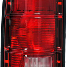Dorman 1610418 Driver Side Tail Light Assembly for Select Dodge Models