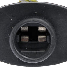 Dorman 645-748 License Plate Lamp Socket and Harness Assembly