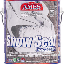 Ames SS1 1 Gallon Snow Seal, White Roof Coating