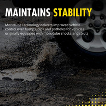 Monroe Shocks & Struts OESpectrum 39107 Shock Absorber