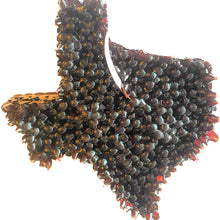 Smelldatz Long Lasting Leather Scented Hanging Air Freshener Car Air Freshener Car Candle Brown Texas
