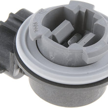 Dorman 84765 3-Terminal Replacement Lamp Socket