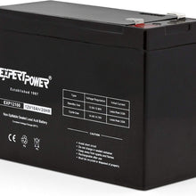 12v 10Ah SLA Rechargeable Battery - F2 Terminals
