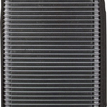 Spectra Premium 1010081 A/C Evaporator