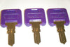 GLOBAL LINK LOCK Global Link G385 Keys RVs Motorhome Trailer Key Cut to Key/Lock Number G385 Three 3 Purple RV Keys Replacement Keys