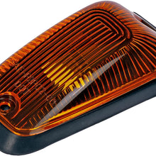 Dorman HELP! 69995 Roof Lamp and Housing Kit