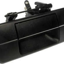 Dorman 81213 Tailgate Handle for Select Toyota Models, Black