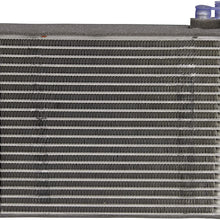 Spectra Premium 1010091 Evaporator