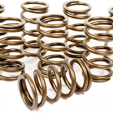 Engle 6002 Performance Hi-Rev Single Valve Springs For Vw Air-cooled Engines