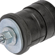 Dorman 924-050 Body Mount for Select Ford Models
