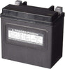 Power-Sonic (PTX14LBS-FS) Sealed Maintenance Free Powersport Battery