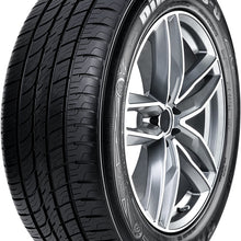 Radar Tires Dimax AS-8 All-Season Radial Tire - 225/55R19 103V, (Model: DSC0033)