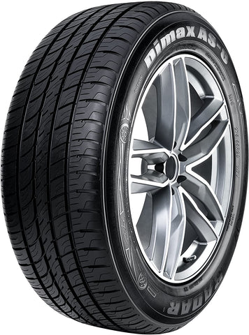 Radar Tires Dimax AS-8 All-Season Radial Tire - 225/55R19 103V, (Model: DSC0033)