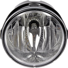 Dorman 923-813 Fog Light Assembly for Select Ford Models