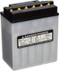 Power-Sonic 12N12A-4A-1 Conventional Powersport Battery