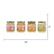 (12 Pack) Earth's Best Organic Stage 2, Favorite Fruits Variety Pack Baby Food, 4 oz. Jar