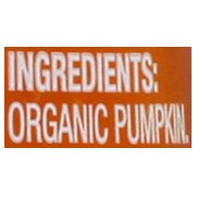 (10 Pack) Beech-Nut Organics Stage 1, Pumpkin Baby Food, 4 oz Jar