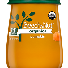 (10 Pack) Beech-Nut Organics Stage 1, Pumpkin Baby Food, 4 oz Jar
