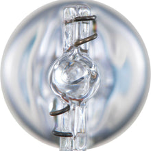 License Light Bulb-Longerlife - Twin Blister Pack Philips 168LLB2