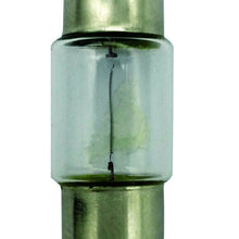 Dome Light Bulb Rear Hella DE3175
