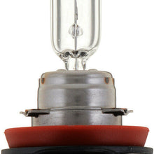Headlight Bulb-Standard - Single Blister Pack Philips 12361B1