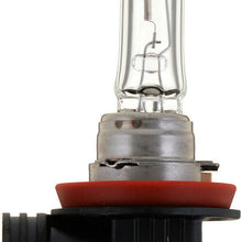 Headlight Bulb-Standard - Single Blister Pack Philips 12361B1