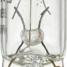License Light Bulb-Standard - Twin Blister Pack Philips 168B2