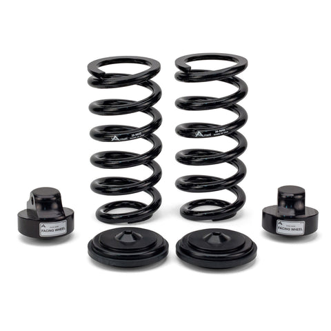 Mercedes E500 Arnott Rear Air Spring to Coil Spring Conversion Kit C-2896 C-2896
