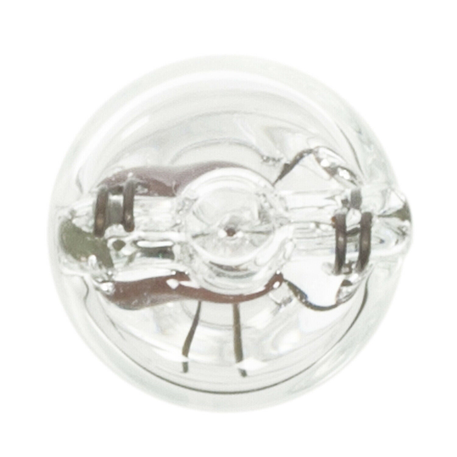License Light Bulb Wagner Lighting BP168