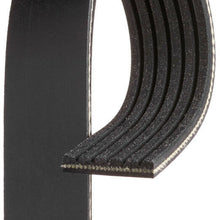 Serpentine Belt-Premium OE Micro-V Belt Gates K060563A