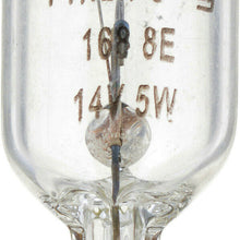License Light Bulb-Standard - Twin Blister Pack Philips 168B2