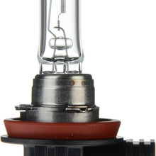 Headlight Bulb-Standard - Single Commercial Pack Philips H9C1