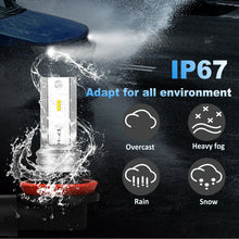 SEALIGHT H11 H8 H16 LED Fog Light Bulbs 6000K Bright White Foglight LED Bulbs