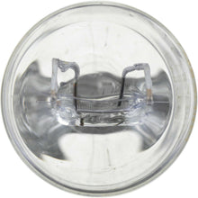Tail Light Bulb-Standard Rear,Outer PHILIPS 7443CP